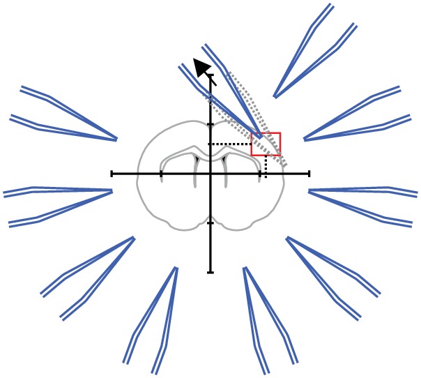 Appendix 2—figure 7.