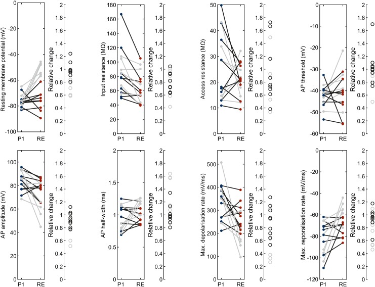 Figure 3—figure supplement 2.