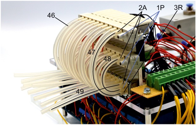 Appendix 1—figure 21.