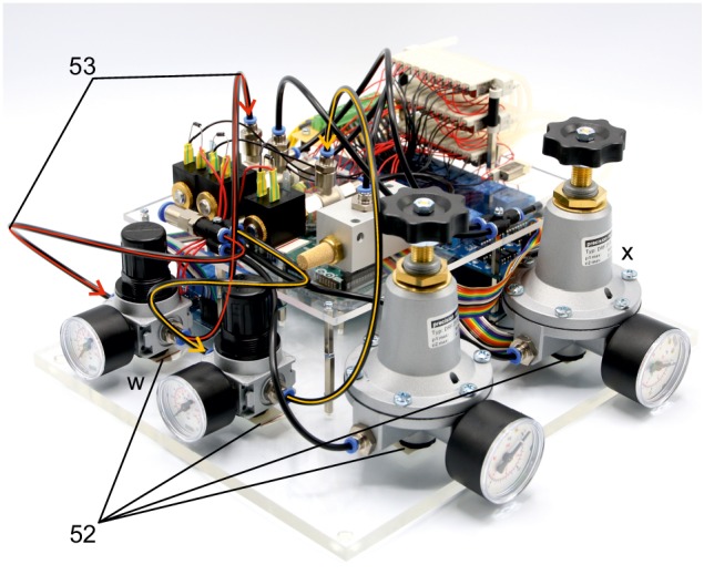 Appendix 1—figure 23.