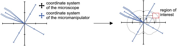 Appendix 2—figure 2.