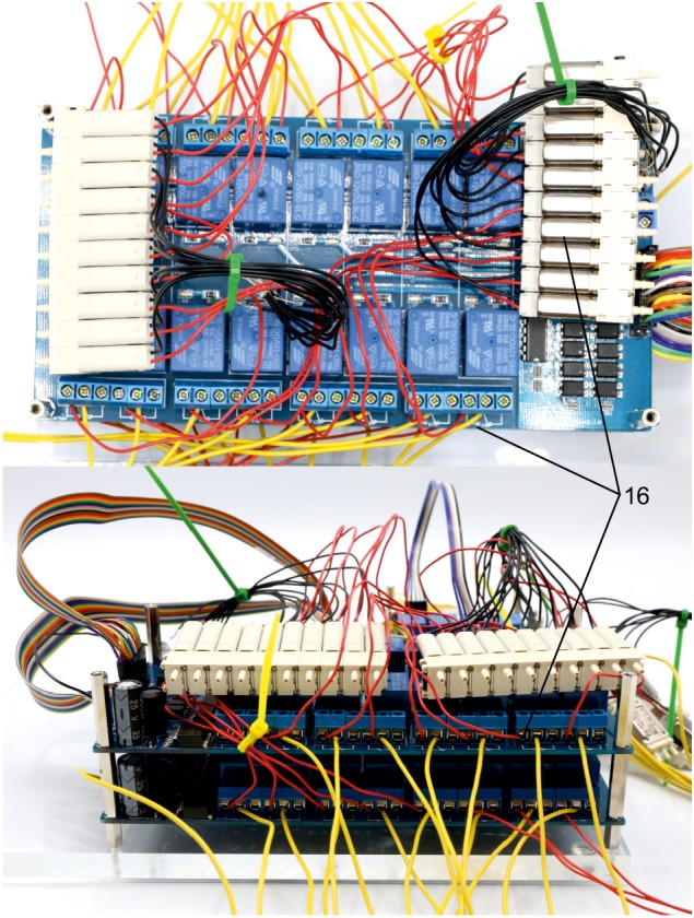 Appendix 1—figure 14.