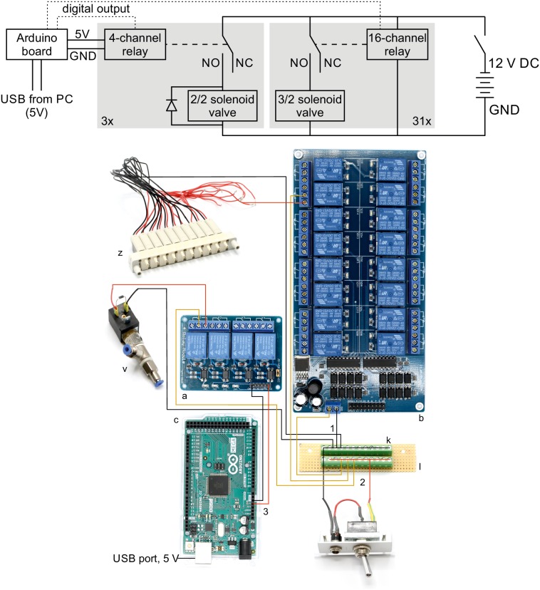 Figure 2—figure supplement 1.