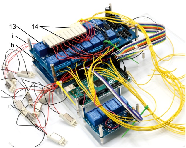 Appendix 1—figure 12.