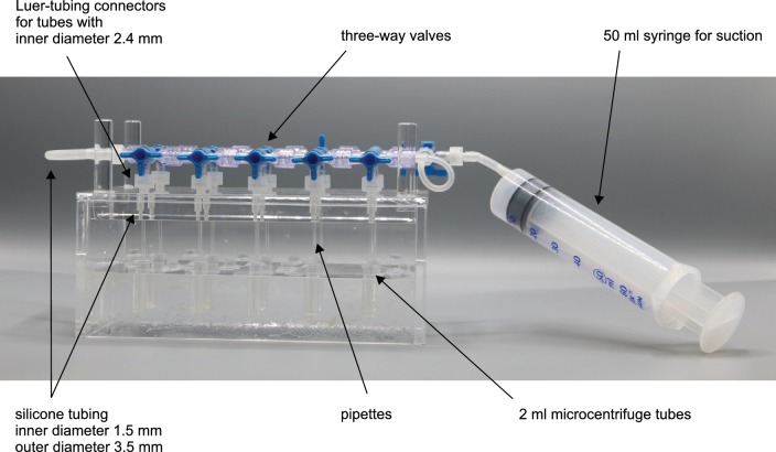 Appendix 3—figure 6.