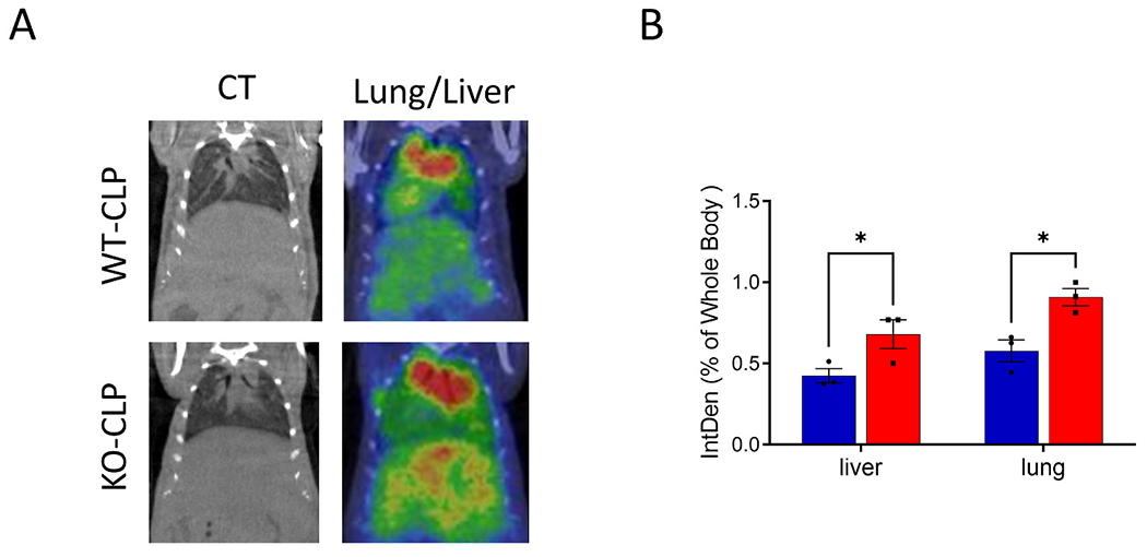 Fig. 4.