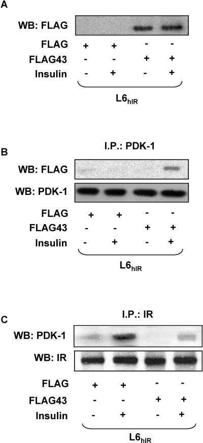 FIG. 8.