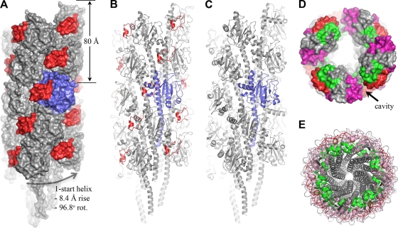 Fig 3