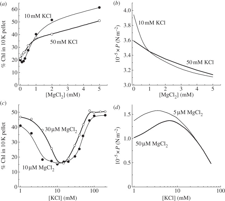 Figure 2.