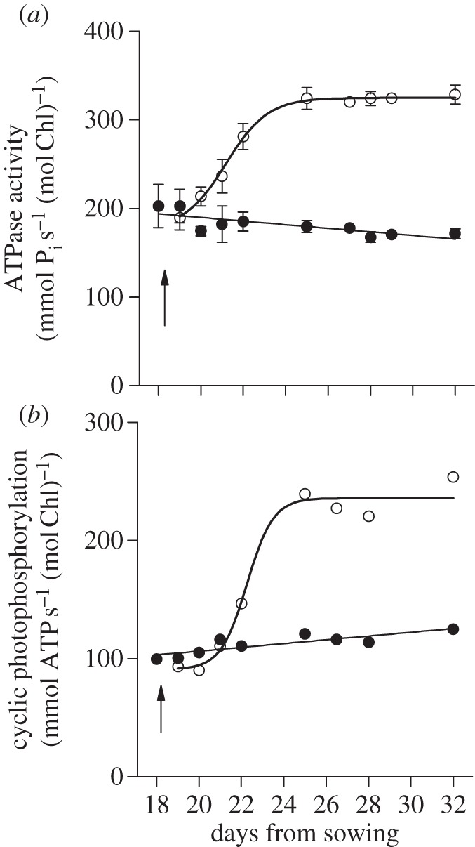 Figure 1.