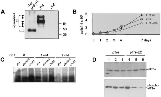 FIG. 5.