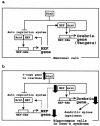 FIG. 7.