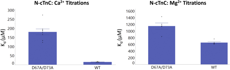 Figure 5