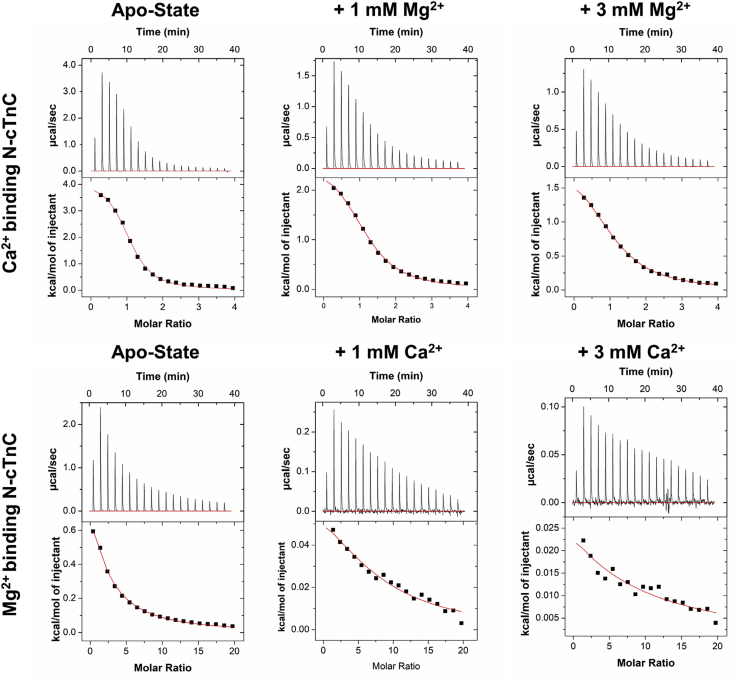 Figure 1