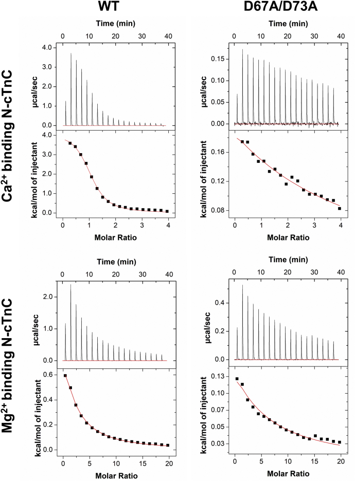 Figure 4