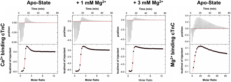 Figure 6