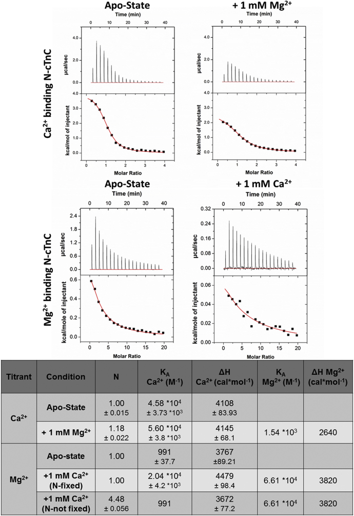 Figure 3