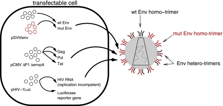 FIG. 1.