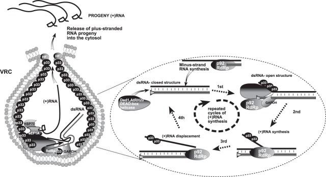 FIG 8