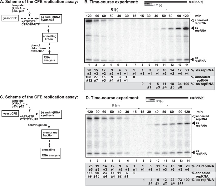 FIG 4