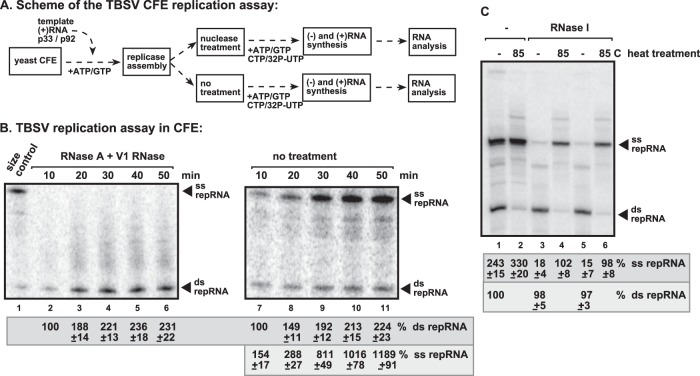 FIG 1