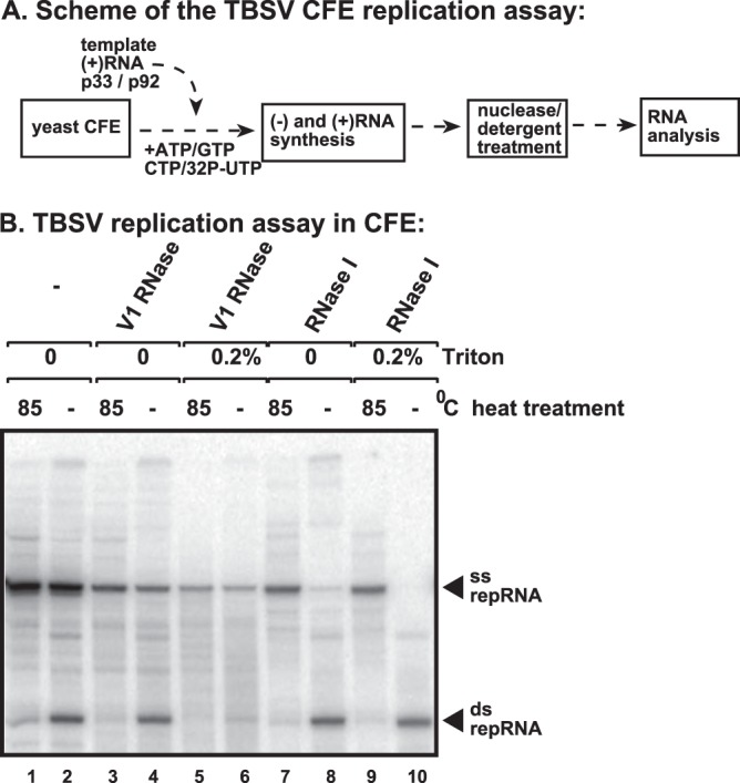 FIG 2