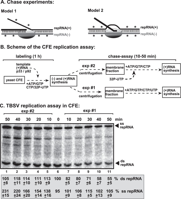 FIG 6