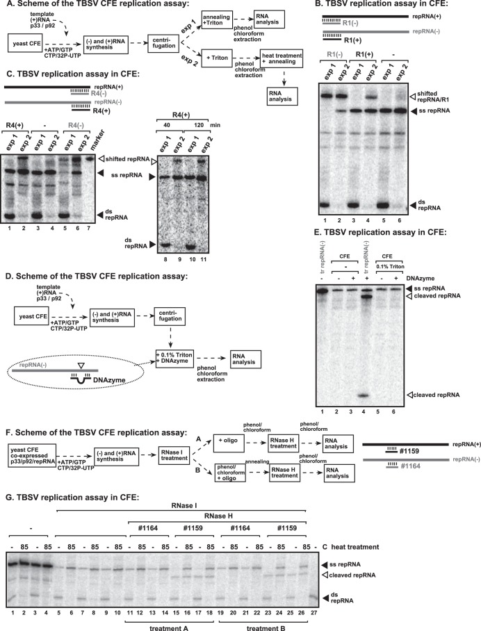 FIG 3