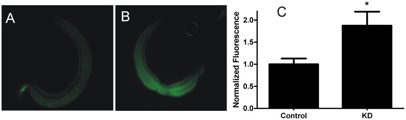 Figure 7