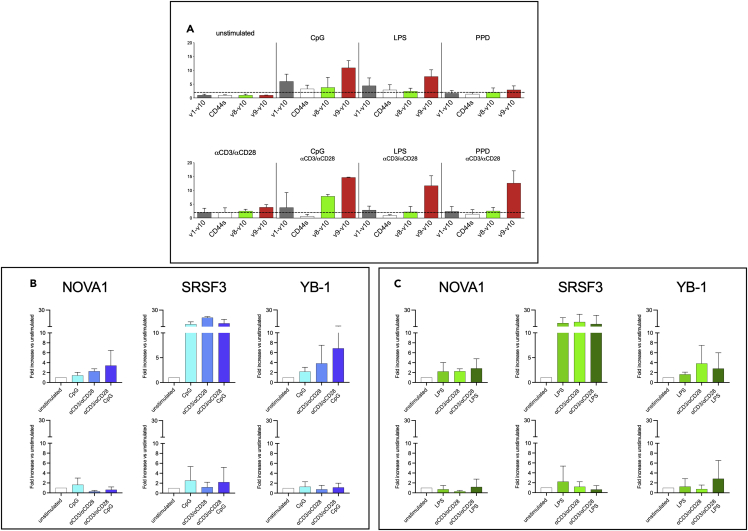 Figure 4