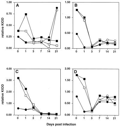 FIG. 5