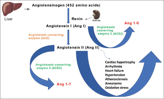 Figure-1