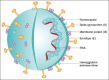 Figure-5