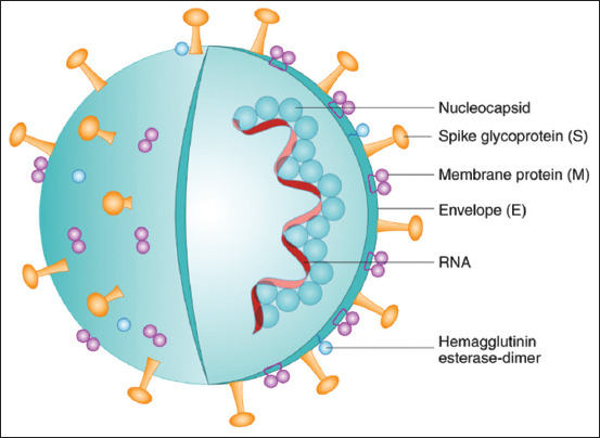 Figure-5