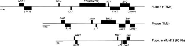 Figure  3