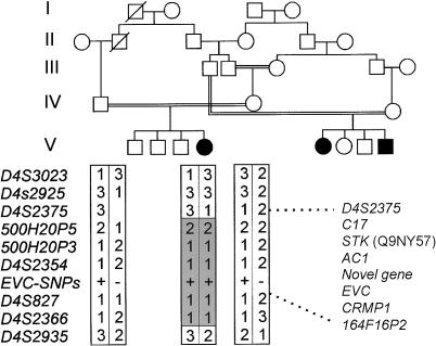 Figure  1