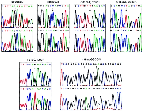 Figure  2