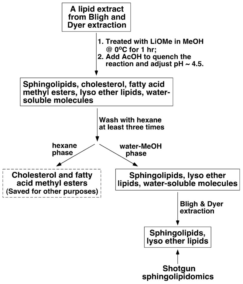 Scheme 2