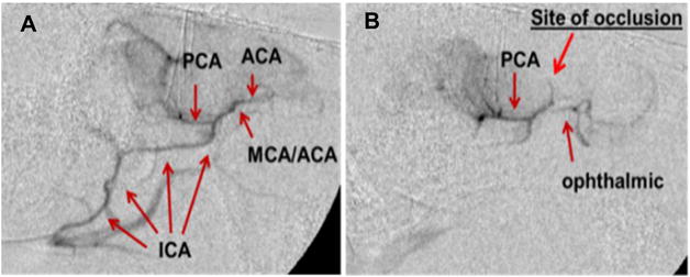 Fig. 5