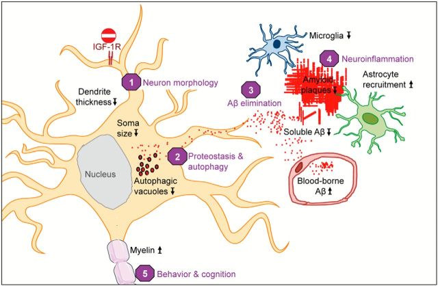 Figure 9.