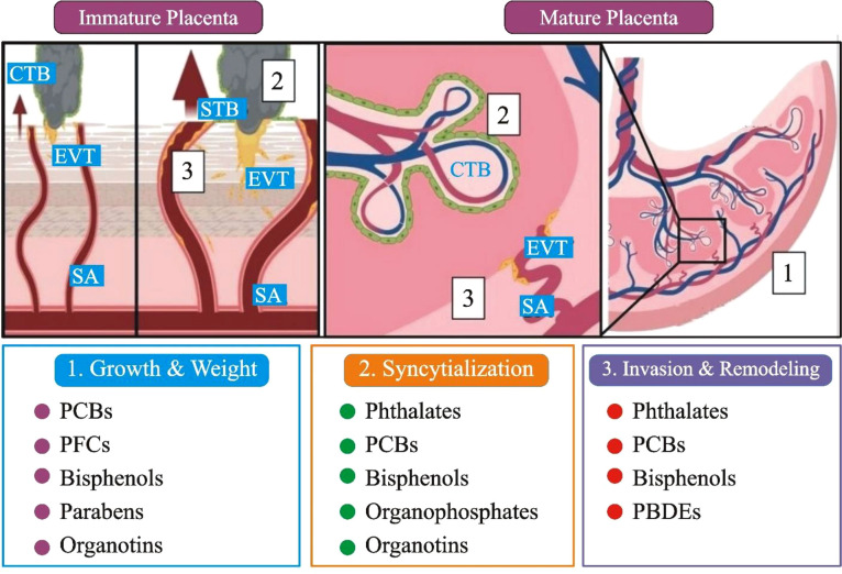 Figure 3