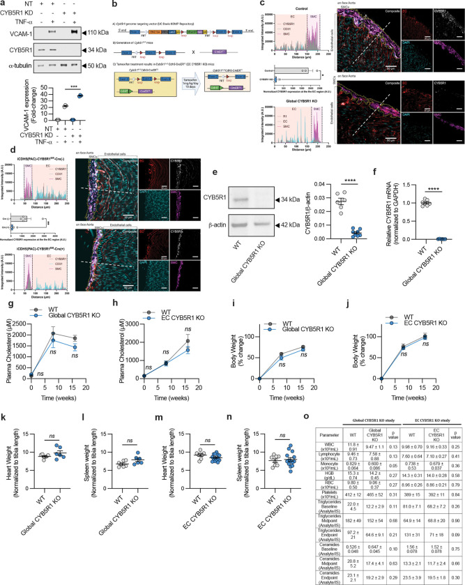 Extended Data Fig. 3: