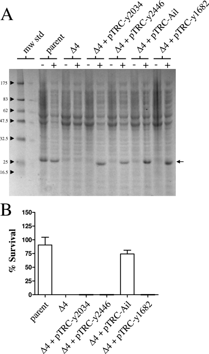 FIG. 5.