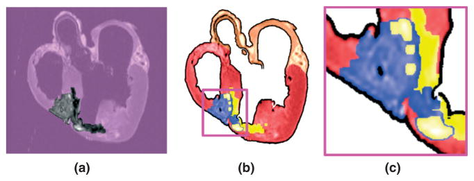 FIGURE 8