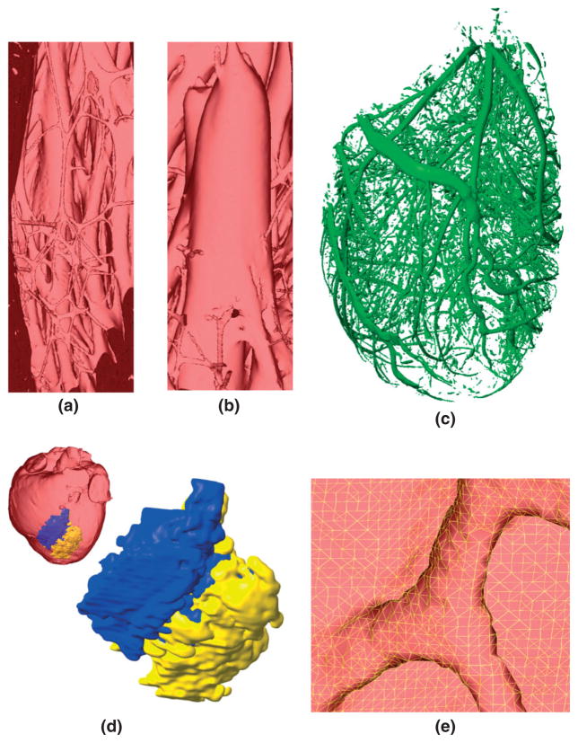 FIGURE 13