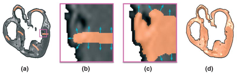 FIGURE 4