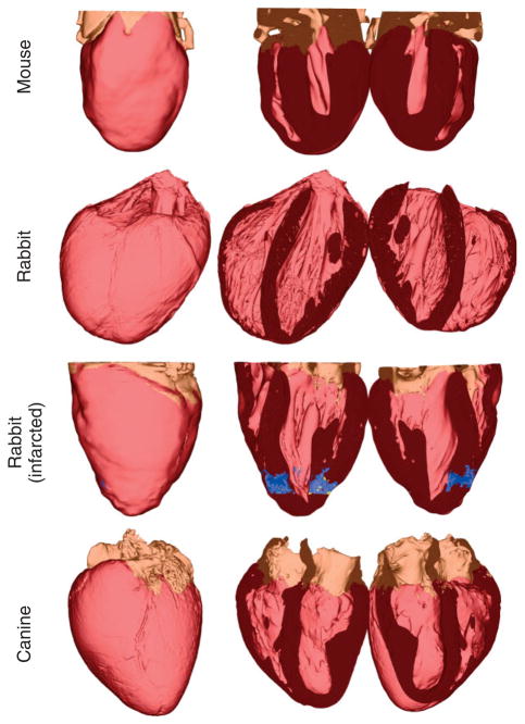 FIGURE 11