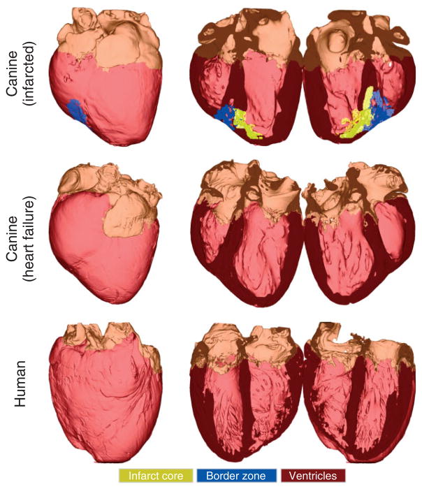 FIGURE 12