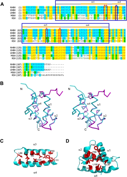 FIGURE 2.