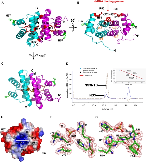 FIGURE 3.